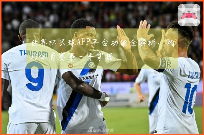 世界杯买球APP平台功能全解析，精彩体育赛事一手掌握