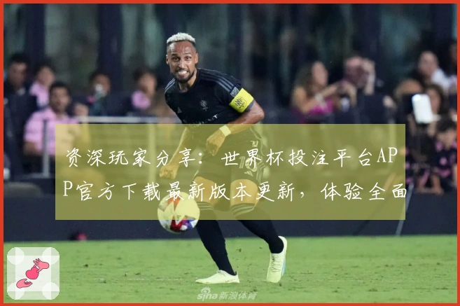 资深玩家分享：世界杯投注平台APP官方下载最新版本更新，体验全面升级