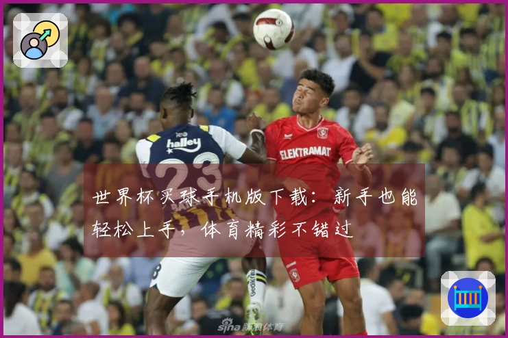 世界杯买球手机版下载：新手也能轻松上手，体育精彩不错过