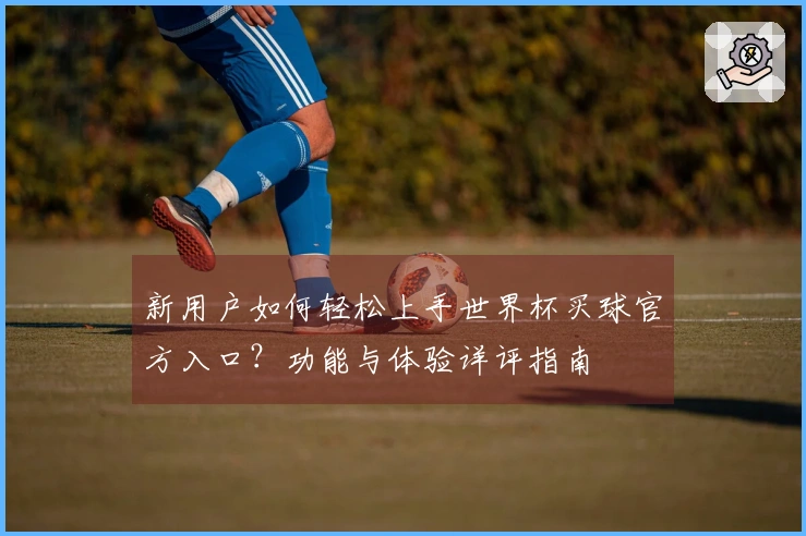 新用户如何轻松上手世界杯买球官方入口？功能与体验详评指南