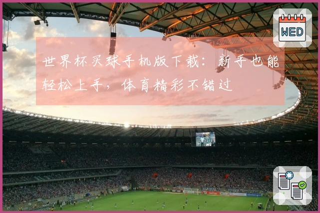 世界杯买球手机版下载：新手也能轻松上手，体育精彩不错过