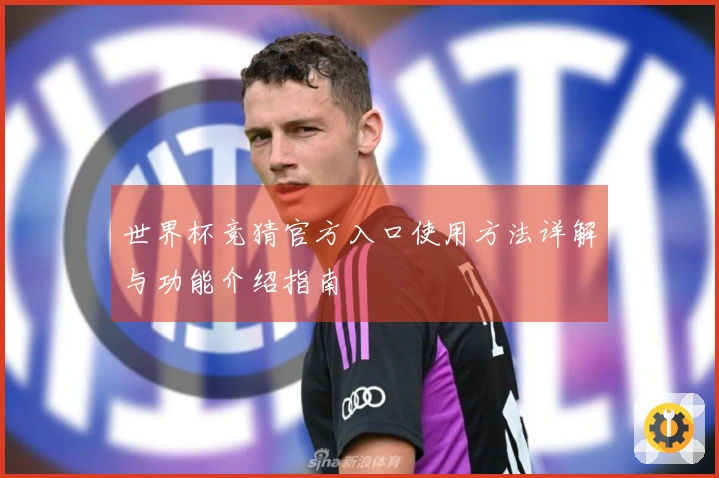 世界杯竞猜官方入口使用方法详解与功能介绍指南