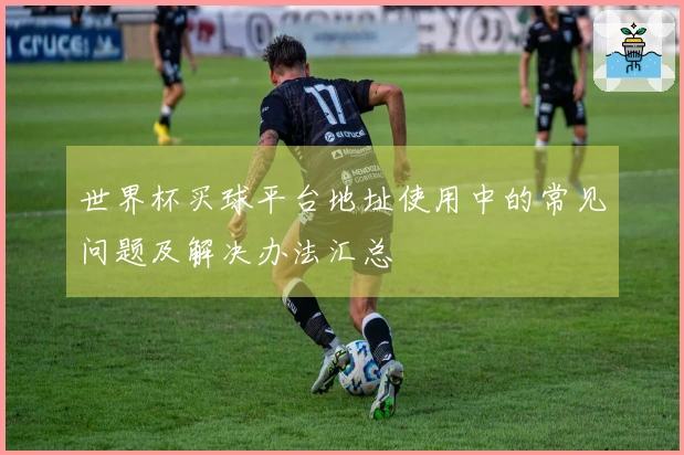 世界杯买球平台地址使用中的常见问题及解决办法汇总