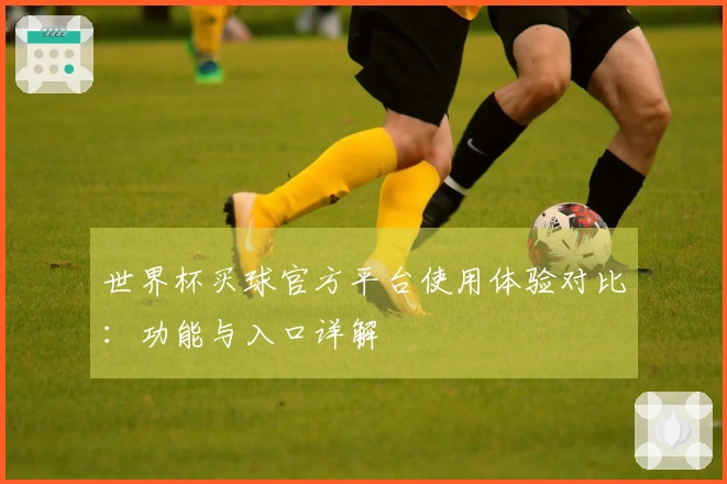 世界杯买球官方平台使用体验对比：功能与入口详解