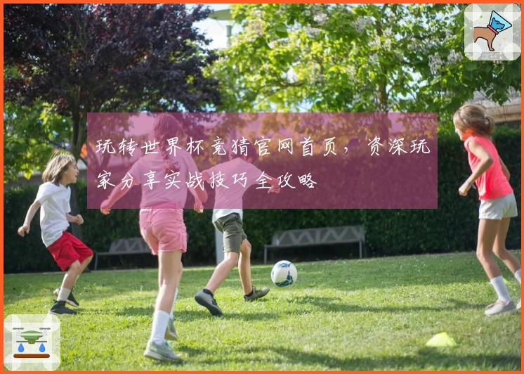 玩转世界杯竞猜官网首页，资深玩家分享实战技巧全攻略