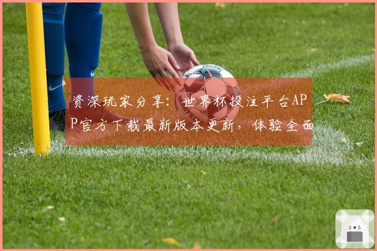 资深玩家分享：世界杯投注平台APP官方下载最新版本更新，体验全面升级