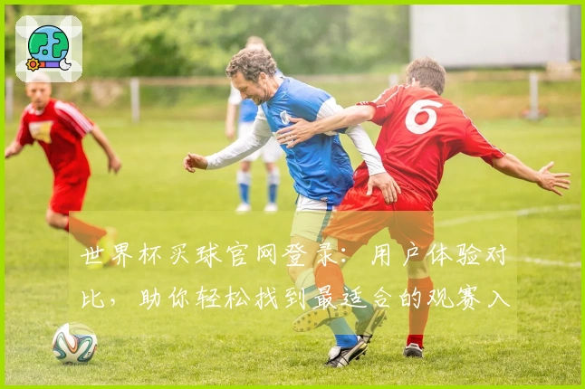 世界杯买球官网登录：用户体验对比，助你轻松找到最适合的观赛入口与功能