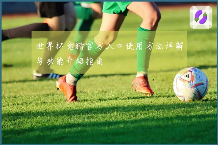 世界杯竞猜官方入口使用方法详解与功能介绍指南