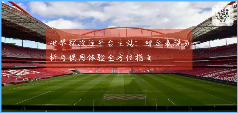 世界杯投注平台主站：综合表现分析与使用体验全方位指南