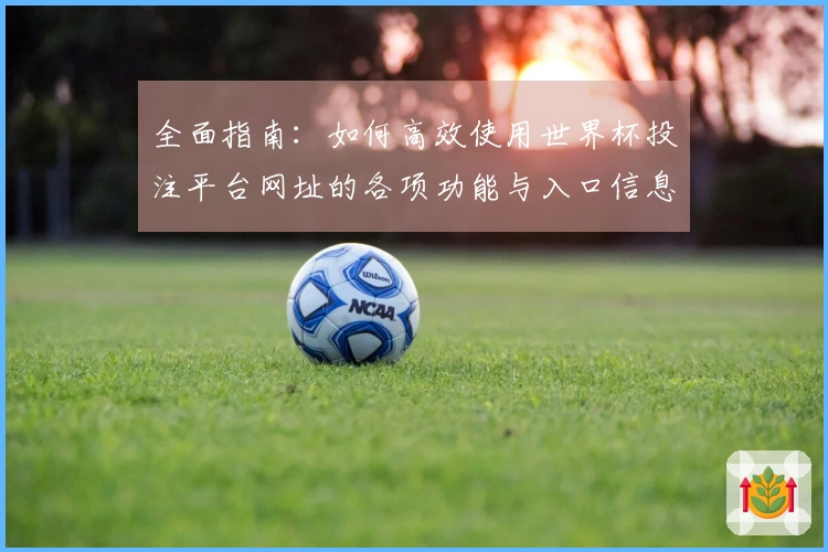 全面指南：如何高效使用世界杯投注平台网址的各项功能与入口信息