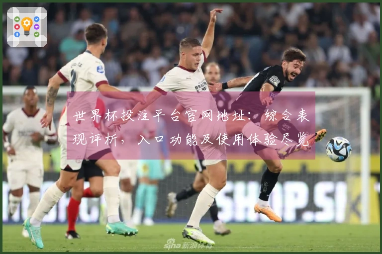 世界杯投注平台官网地址：综合表现评析，入口功能及使用体验尽览